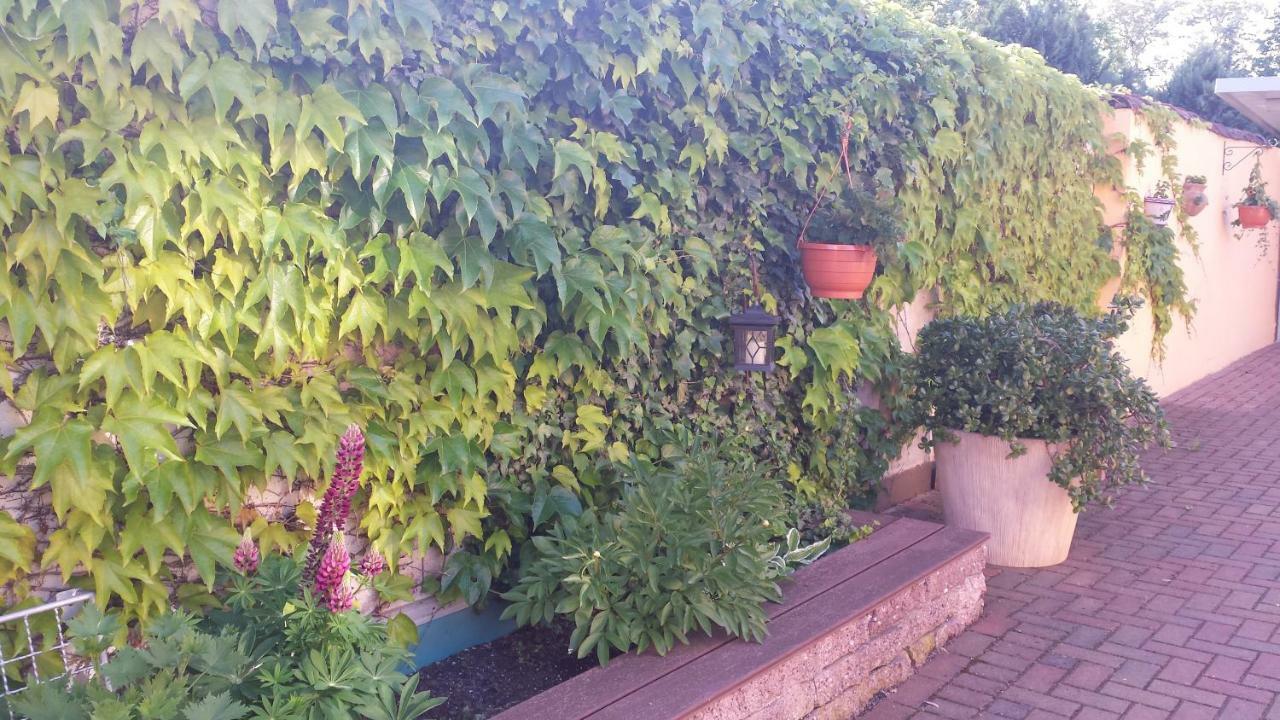 Appartement Kleines Zuhause *